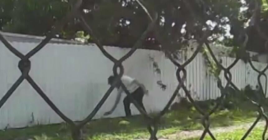Man accused of poisoning neighbor’s cats in Biscayne Park