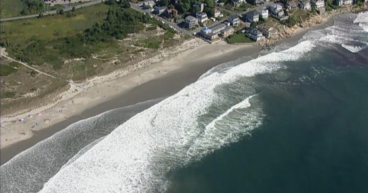Shark sighting closes popular Gloucester beach again