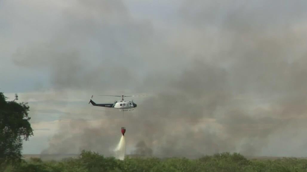 Brush Fire news - Today’s latest updates - CBS Miami