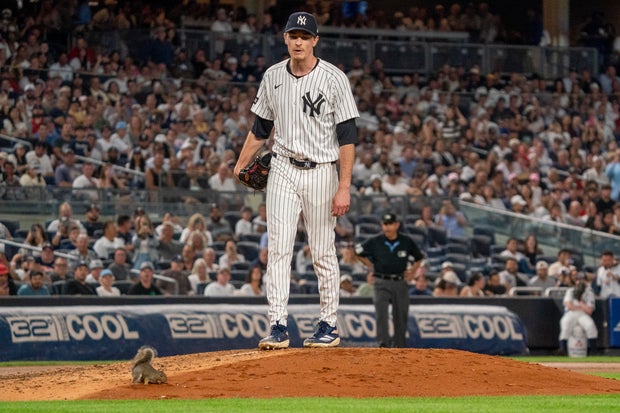 Max Fried #54 of the New York Yankees turns to a squirrel as he briefly pauses pitching to the Boston Red Sox at Yankee Stadium in the fourth inning on August 22, 2025 in New York City. 