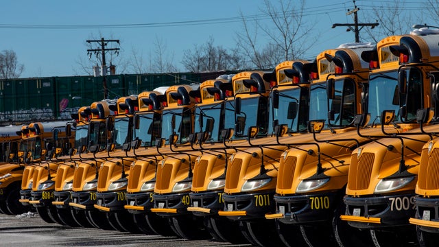 School Buses 