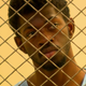 Lil Nas X pleads not guilty to felony battery against a police officer in L.A. 