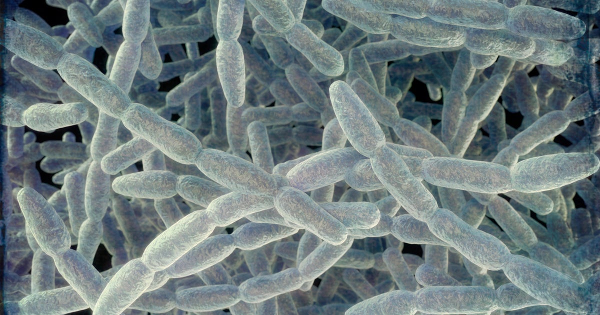 Legionnaires' disease reported at Bronx apartment building, NYC health officials say