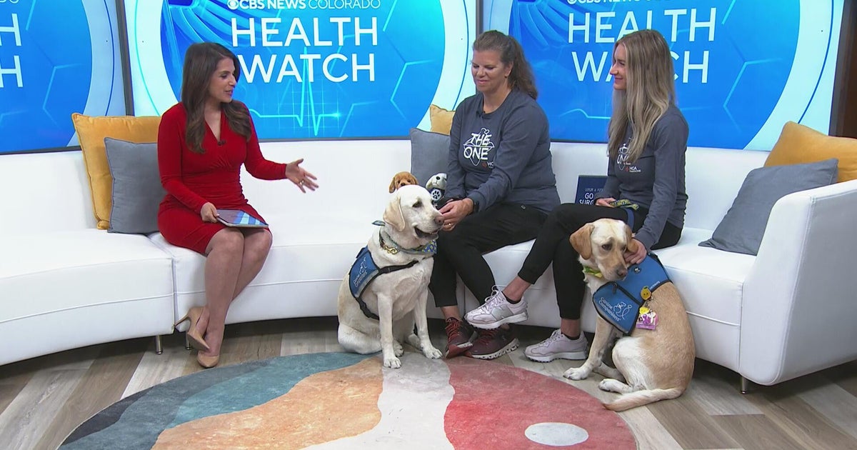 On National Dog Day, therapy dogs are featured at HCA HealthONE Rocky ...