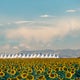 Flood advisory issued for DIA, ground stop also in effect 