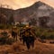 Pickett Fire now 17% contained in California wine country, vineyards concerned about smoke