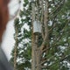 Residents in Littleton get answers about frequent power outages 