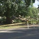 4 people hurt after tree falls near Please Touch Museum in Philadelphia 