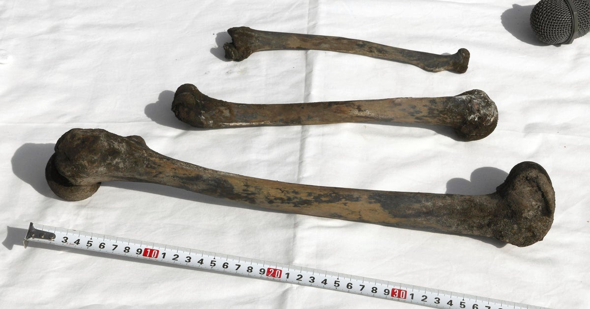 The bones, skeleters found in pairs of mines in the mine in Japan where more than 100 Korean employees die in WWII
