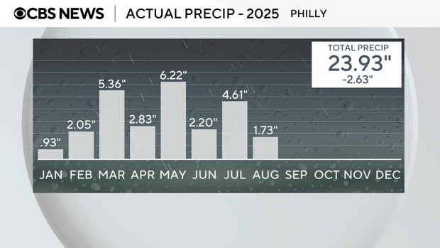 z-precip-by-month-2025.png 