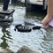 Amish mom threw 4-year-old into Ohio lake to test her faith, police say