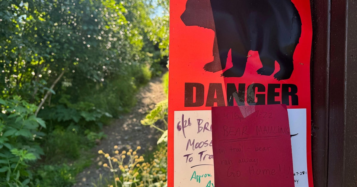 Jogger in Alaska seriously injured after bear attacks her, drags her 100 yards Jogger in Alaska seriously injured after bear attacks her, drags her 100 yards