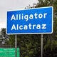 Florida plans to ramp up operations at "Alligator Alcatraz" if court pauses judge's order 