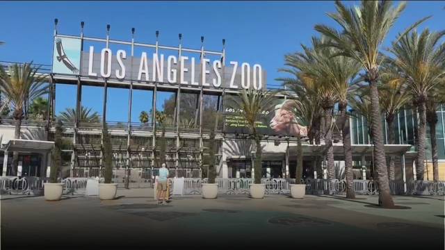 l-azoo.png 