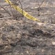Residents raise concerns about fires in Sepulveda Basin 