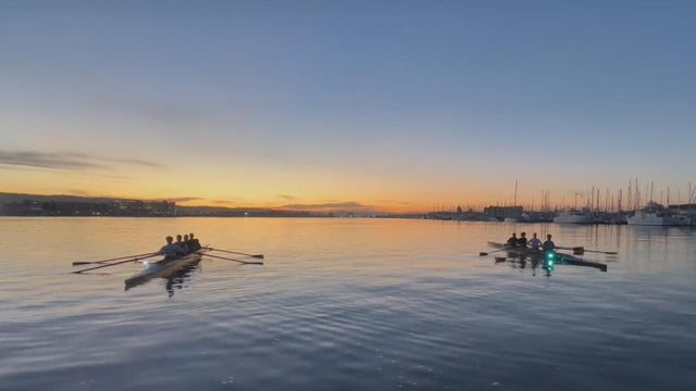 cal-rowing.jpg 