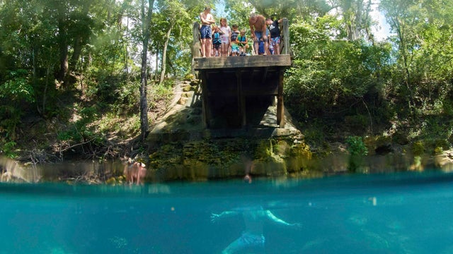 Climate Florida Springs 