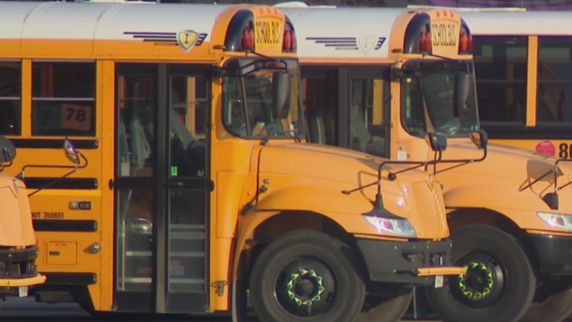 buses.png 