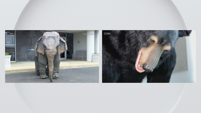 peta-animatronic-animals.png