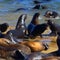 Nature: Sea lions at California's Monterey Bay