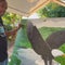 Artist's painting celebrates Eagles' iconic spirit ahead of home opener