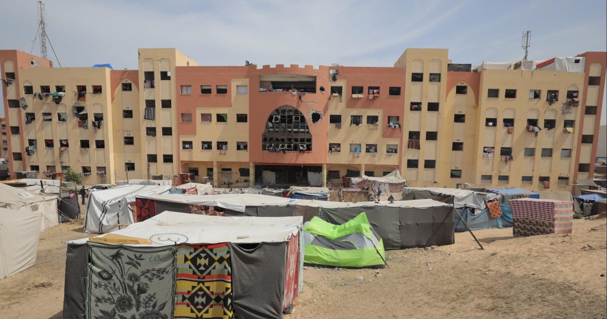 Gaza City professor on education in a warzone: "battle for survival"