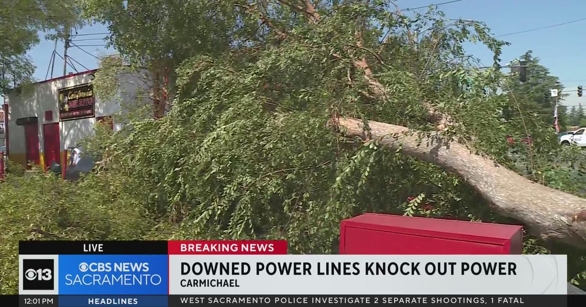 Downburst Winds Knock Out Power to 11,000 Carmichael, Sacramento