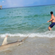 Children catch 7-foot hammerhead shark in Sunny Isles while fishing, authorities say 