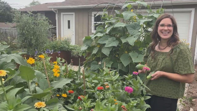 090225-palatine-gardening.jpg 