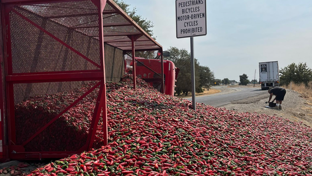 chilies.png 