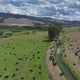 Montana ranchers challenge the existing food system in a bid to stay alive 