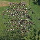 Hastings High School in Westchester County evacuated after chemical spill 