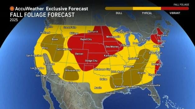kdka-fall-foliage-vibrant.jpg 
