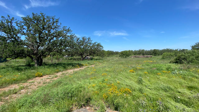 tx-ranch.png 