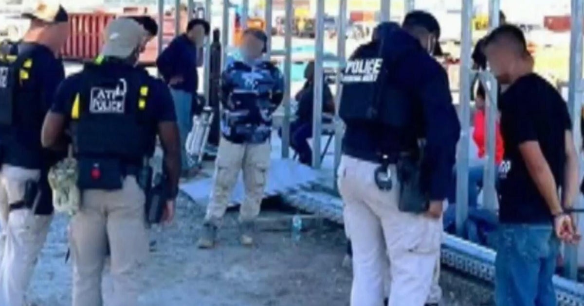 ICE arrests hundreds of workers during raid at Georgia Hyundai plant