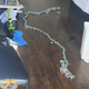 Long Beach police arrest ATM thieves 