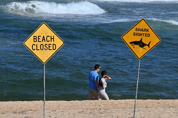 AUSTRALIA-SHARK 