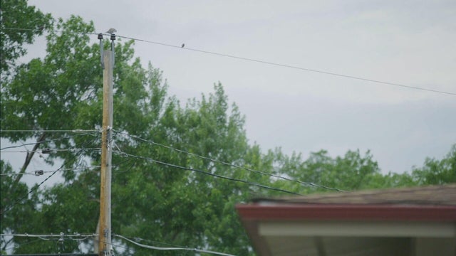 littleton-neighborhood-power-lines.jpg 