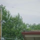 Littleton neighborhood hit with another Xcel Energy outage 