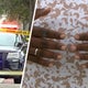 Father of man shot by North Miami Beach police seeks answers 