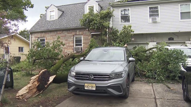 A piece of a tree in front of the front door of a home 