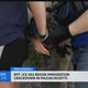 ICE has begun immigration crackdown in Massachusetts, report says 