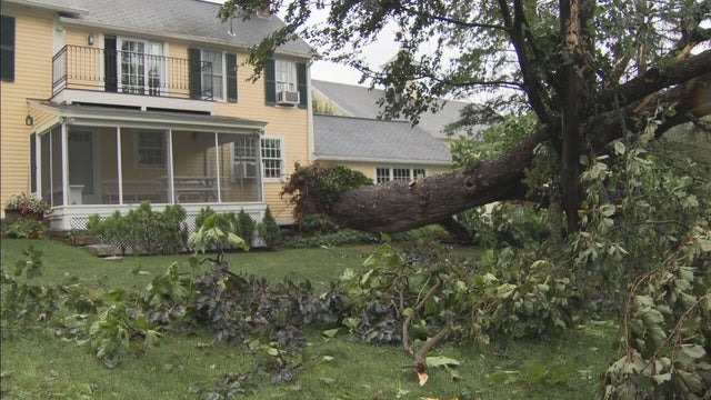 sunday-storm-cleanup-630p-sun-pkg-frame-1740.jpg 