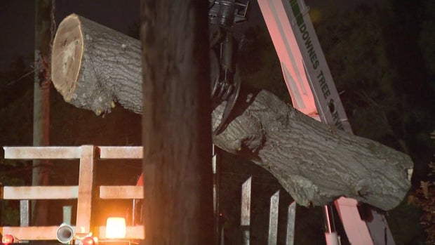 A crane lifts a large piece of a tree trunk. 