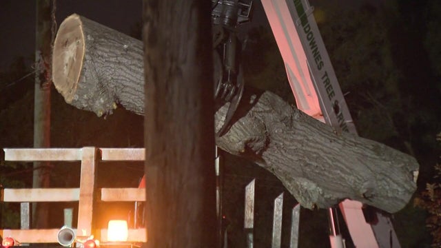 A crane lifts a large piece of a tree trunk. 