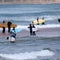 Harrowing details emerge after surfer killed by shark off popular beach