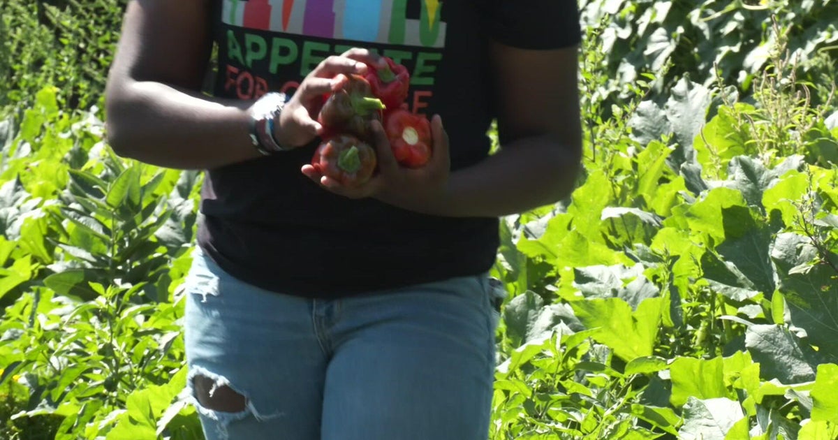 Nonprofit feeds community, teaches kids healthy eating