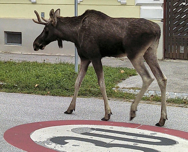 ap25251442060852.jpg 