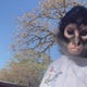 Spider monkey sparks legal battle and public concern after biting incident with Pelican Bay Police 