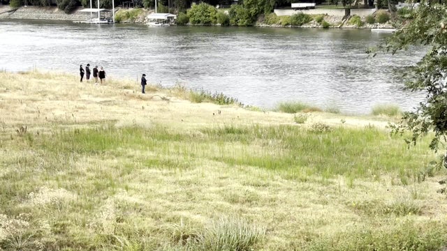 for-web-yolo-car-into-river.jpg 
